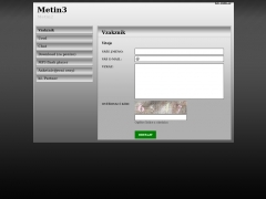Metin3