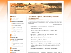 V�CVIK KON�