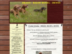 Drago-Baloo-Denny-Hall