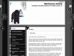 Ne��zen� st�ela