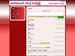 Virtu�ln� st�j